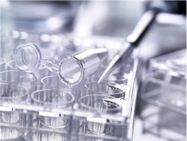 Stabilizzatori di luce per materie plastiche